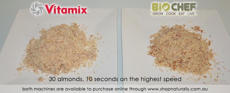 Almond meal comparison - the winner is Vitamix by the narrowest of margins