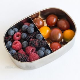 Buy Ever Eco Stainless Steel 2 Compartment Bento Snack Box Online