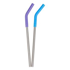 Buy Klean Kanteen Stainless Steel Straws with silicone tips Multi Colour 2 Pack Online