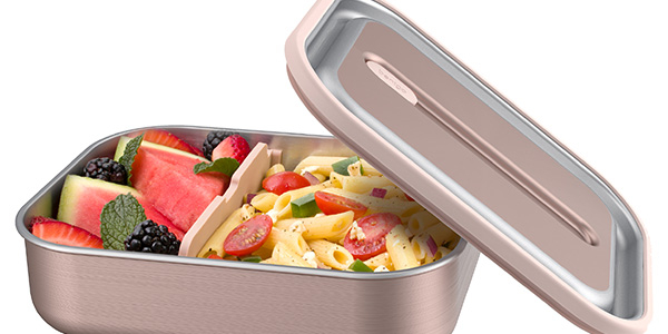 Bento Microwavable Stainless Steel Bento Box