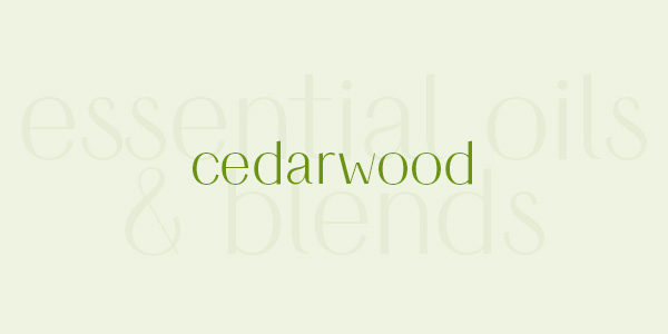 Shop online for the best cedarwood essential oil and blends