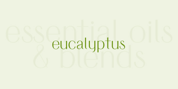 Shop online for the best eucalyptus essential oil and blends