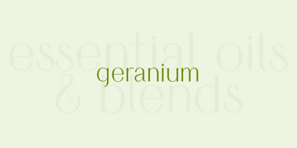 Shop online for the best geranium essential oil and blends