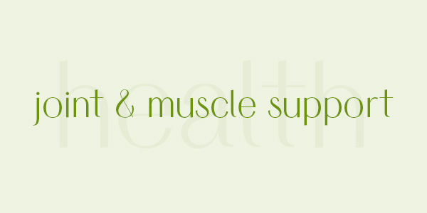 Shop joint & muscle support products online