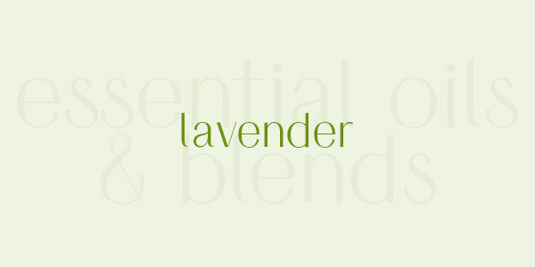 Shop online for the best lavender essential oil and blends