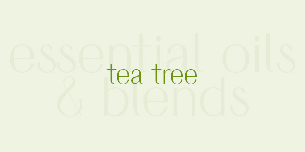 Shop online for the best tea tree essential oil and blends