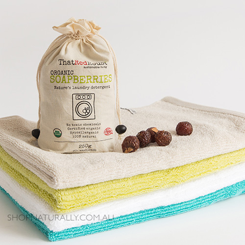 plastic free soap nuts for your laundry
